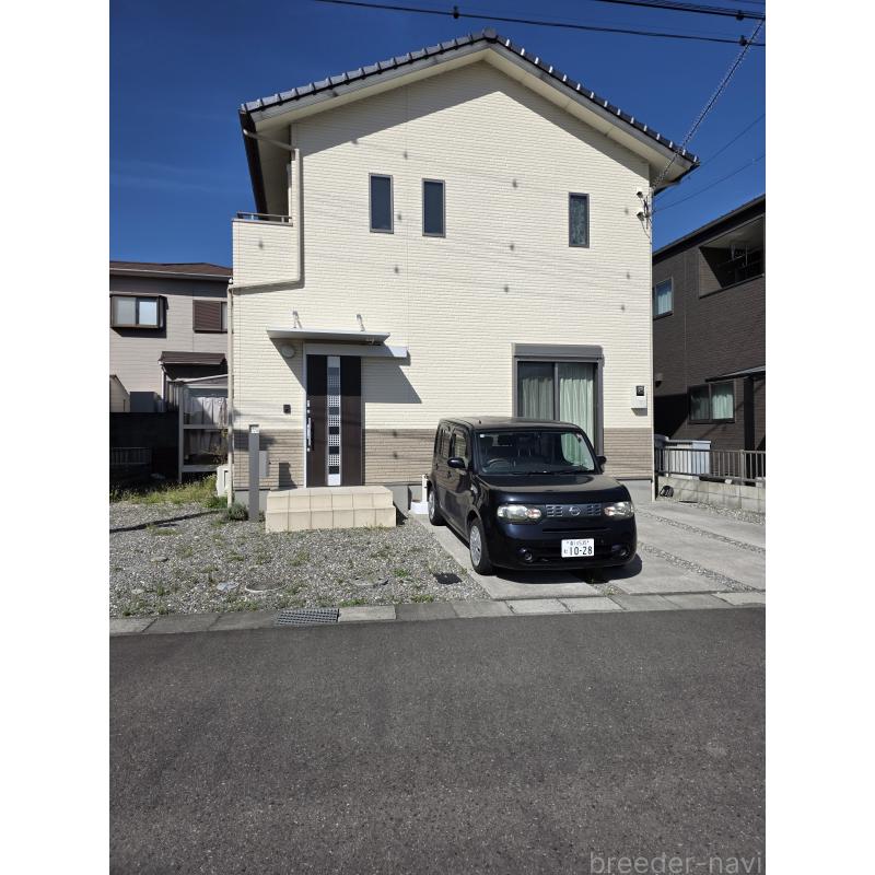 畑山恵ブリーダーの詳細