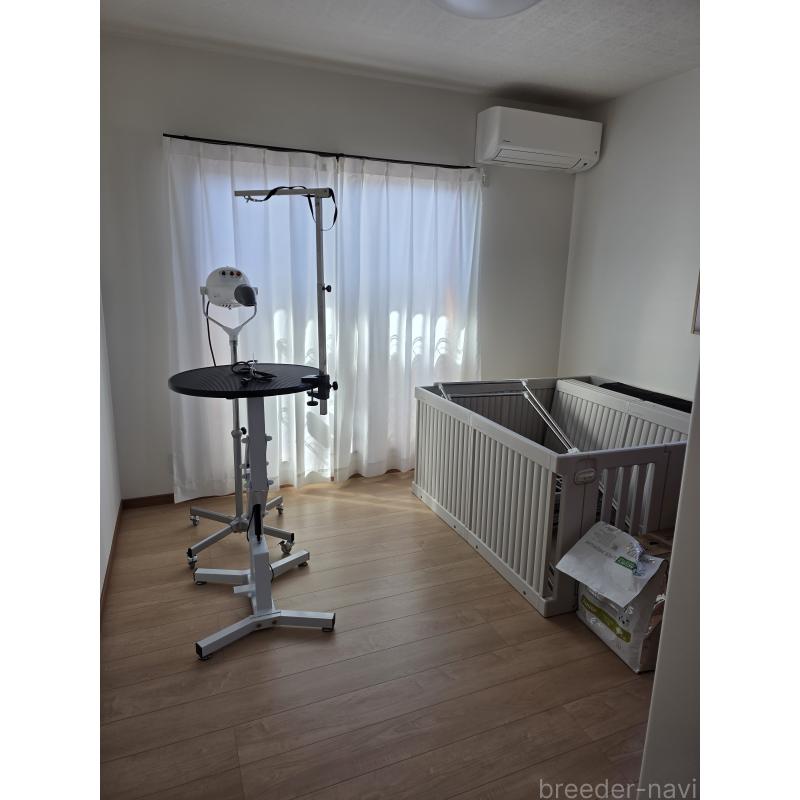 畑山恵ブリーダーの詳細