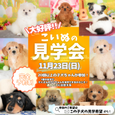 斎藤杏菜ブリーダー