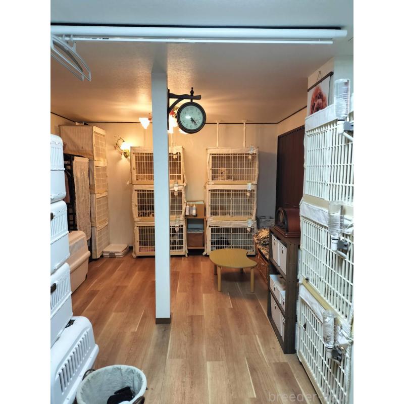 茂木久美子ブリーダーの詳細