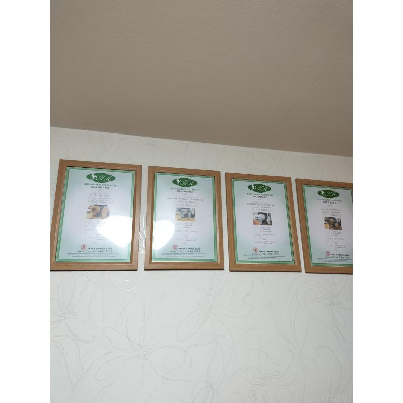 茂木久美子ブリーダーの詳細