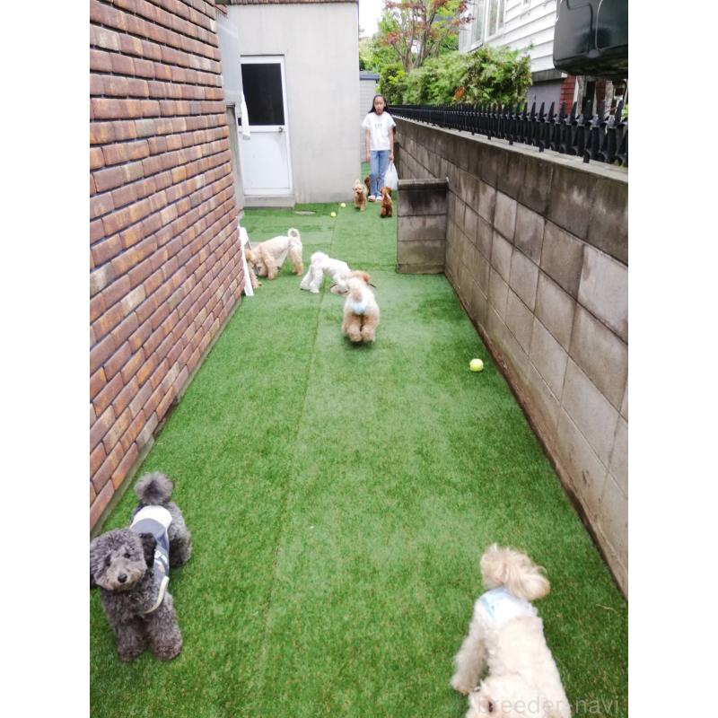 茂木久美子ブリーダーの詳細