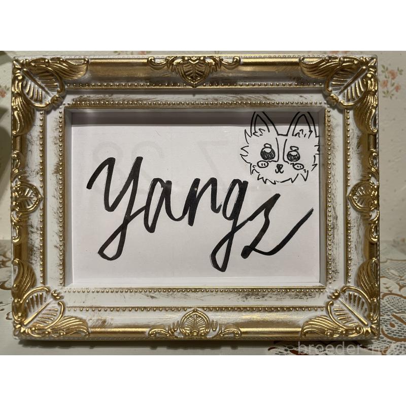 加藤美恵ブリーダーの詳細の1枚目