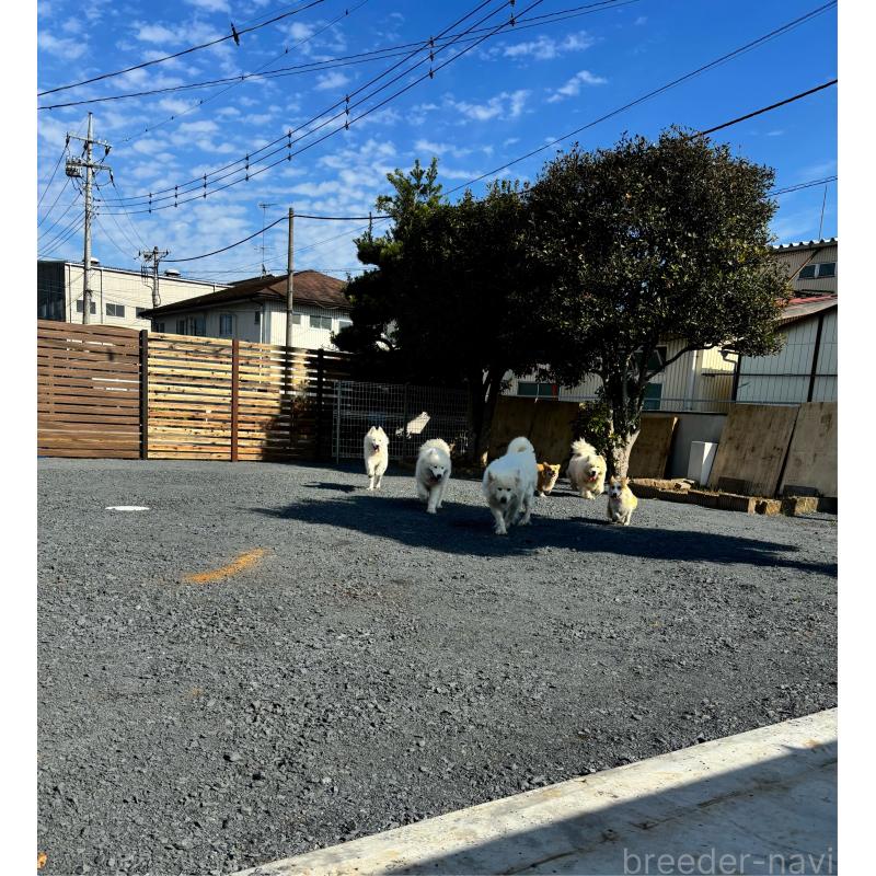 木下浩志ブリーダーの詳細