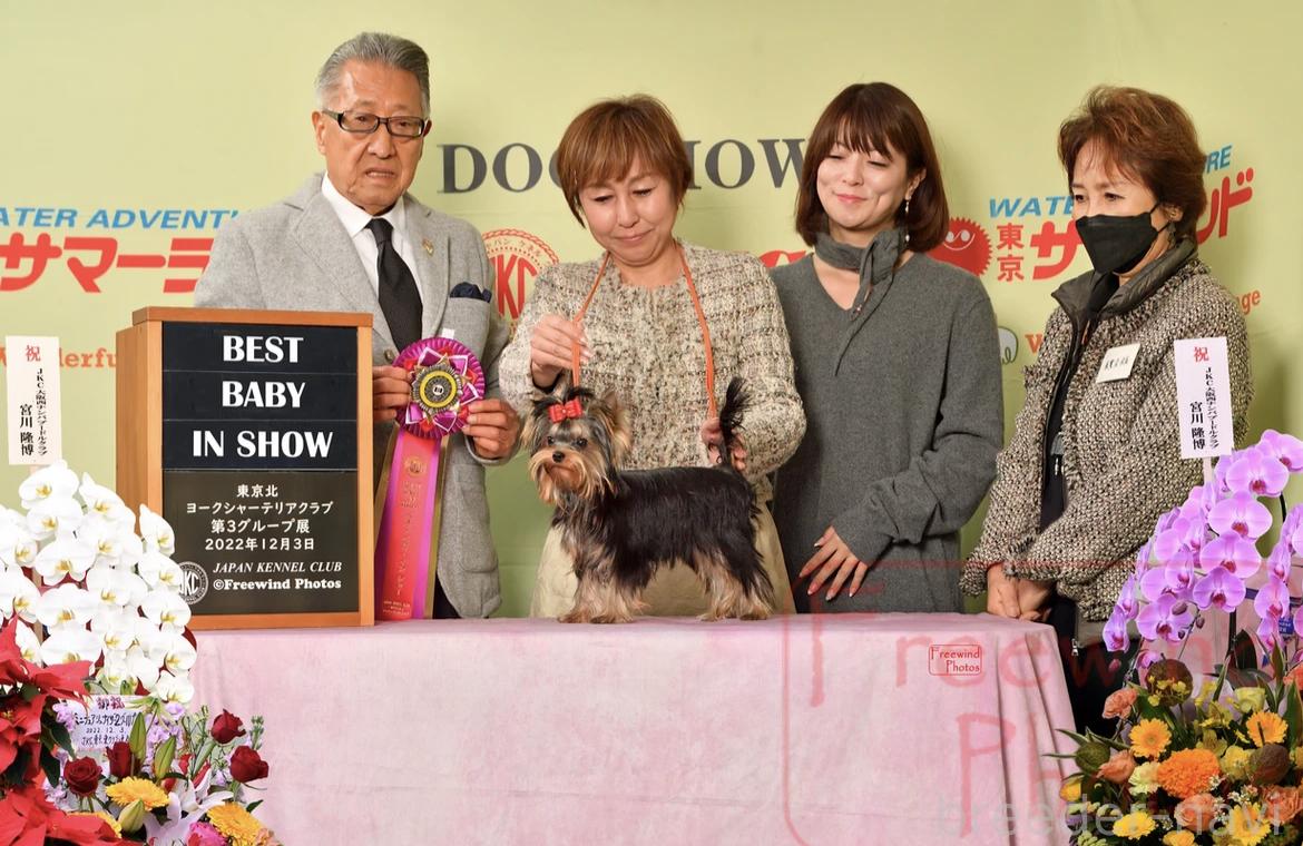 小柳ブリーダー