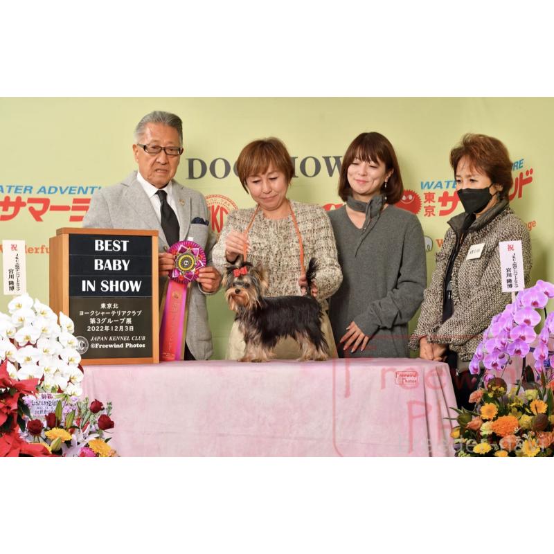 小柳由紀恵ブリーダーの詳細の1枚目