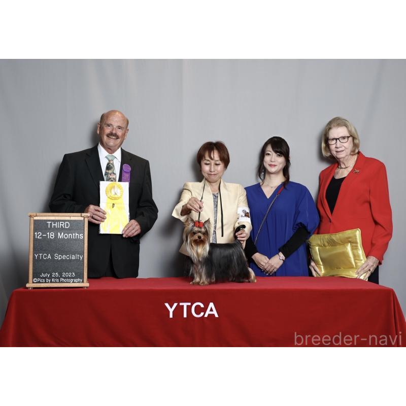 小柳由紀恵ブリーダーの詳細