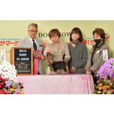 小柳由紀恵ブリーダー