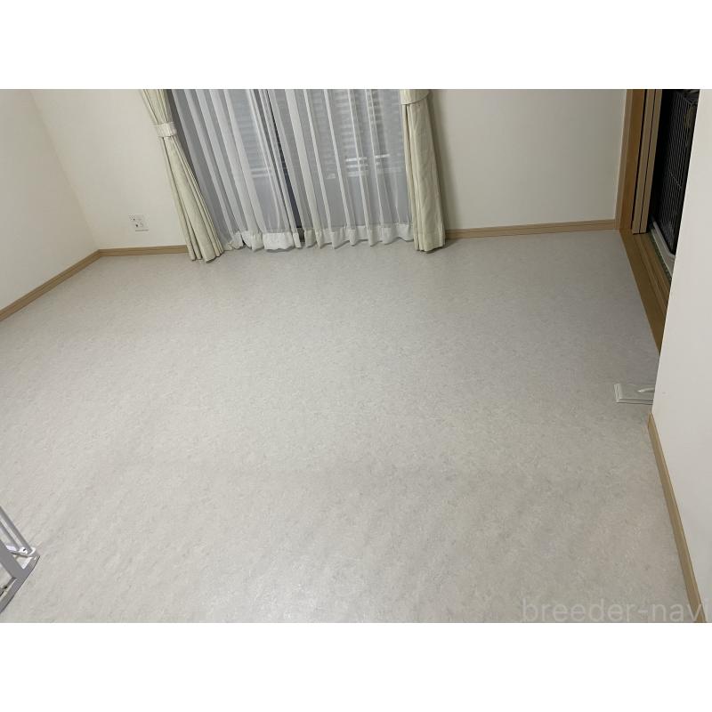 井上彩香ブリーダーの詳細