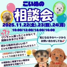 矢込晴菜ブリーダー