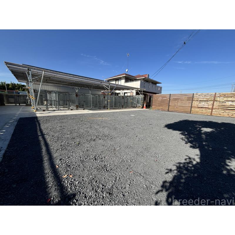 木下浩志ブリーダーの詳細