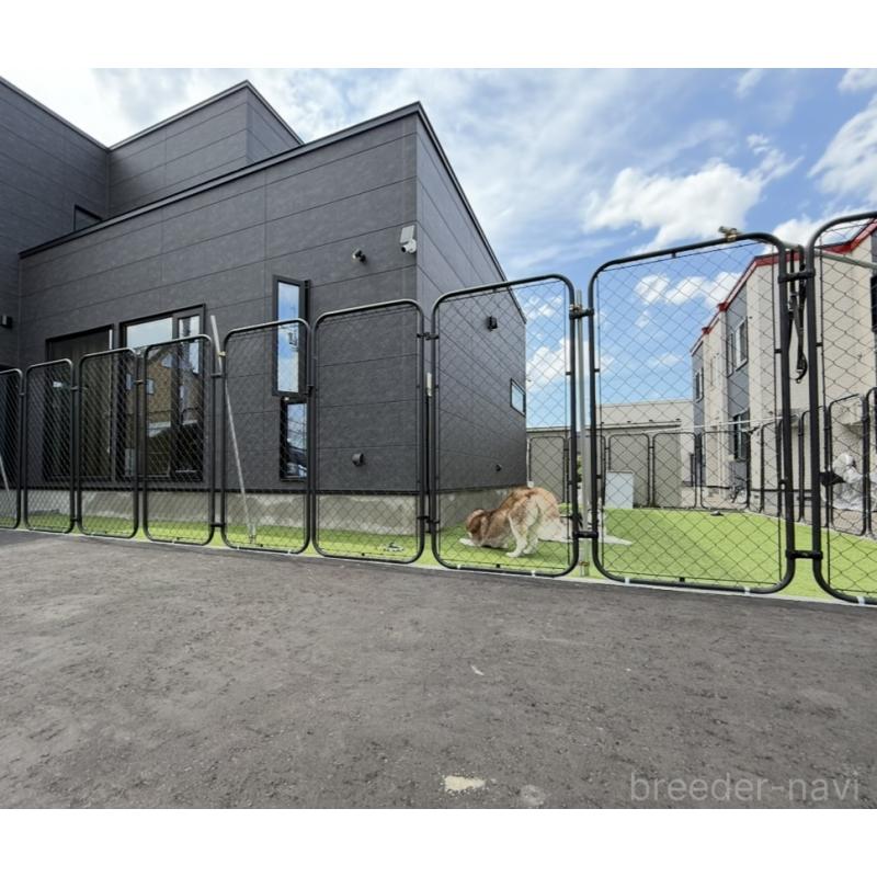 佐藤清美ブリーダーの詳細