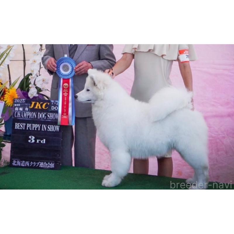 佐藤清美ブリーダーの詳細