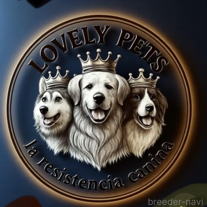 山崎エリサ　エリカブリーダーの詳細の1枚目