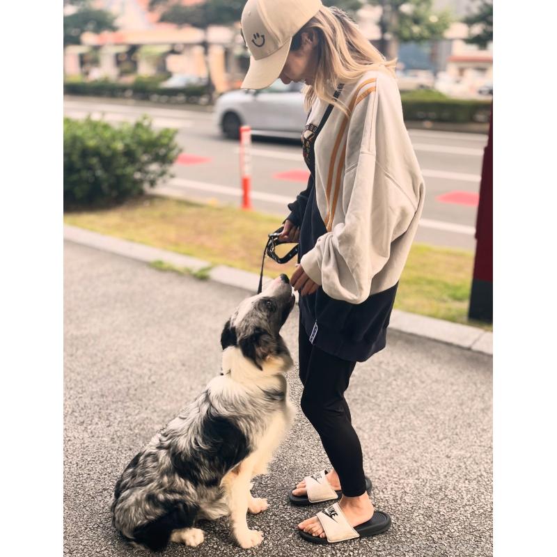 古賀伊織ブリーダーの詳細の1枚目