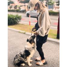 古賀伊織ブリーダー