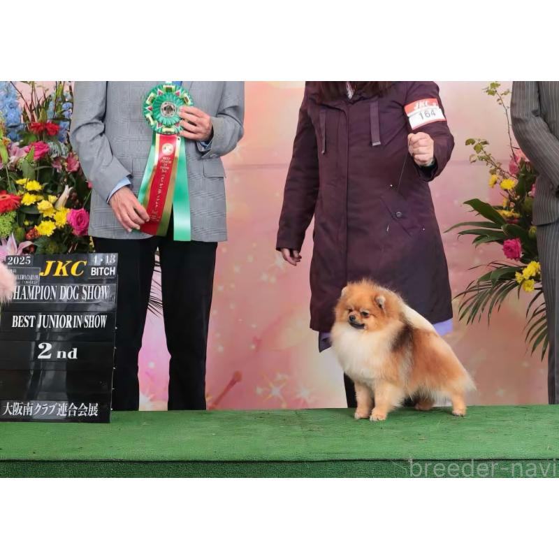 小笠原真由美ブリーダーの詳細