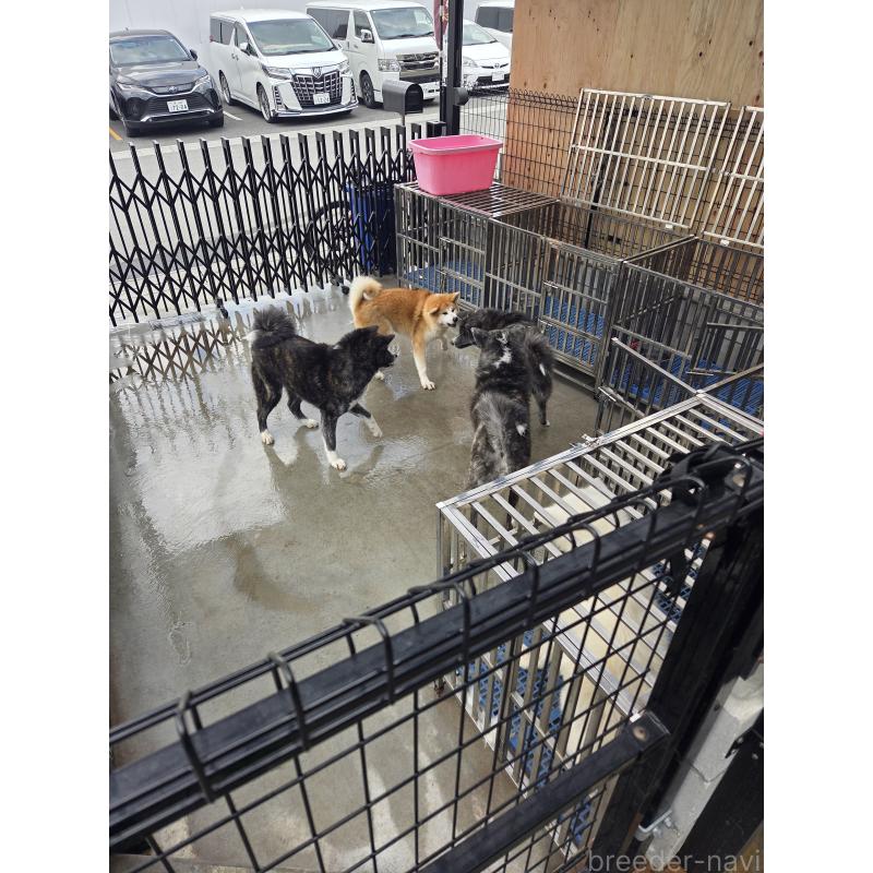 生野智弘ブリーダーの詳細