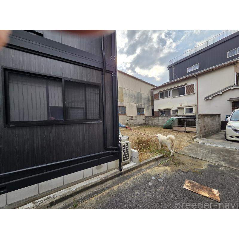 生野智弘ブリーダーの詳細