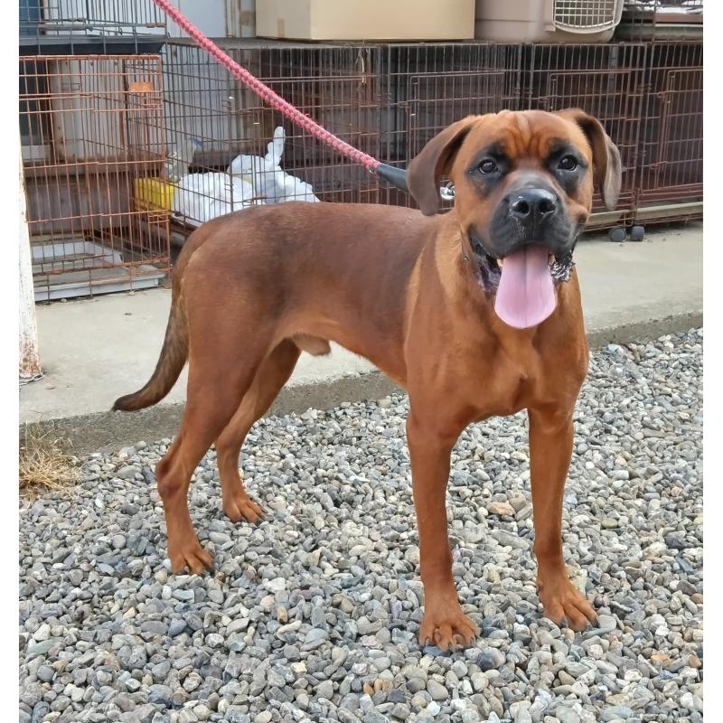 福田貴哉ブリーダーの詳細