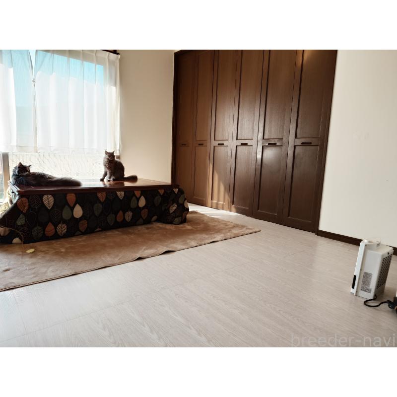 小山あすかブリーダーの詳細