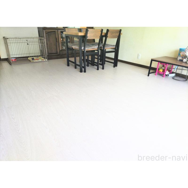 小山あすかブリーダーの詳細