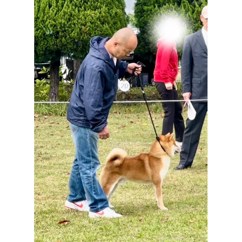 桑原智之ブリーダーの詳細