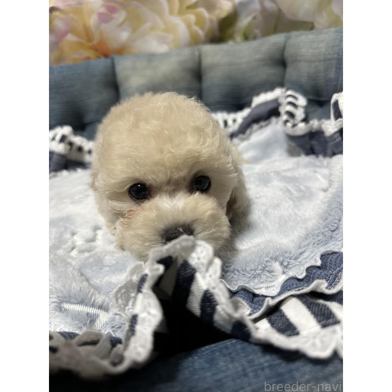 菅宏樹ブリーダーの詳細の1枚目