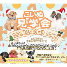 斎藤杏菜ブリーダー