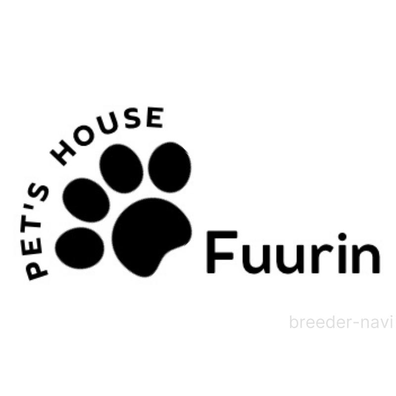 野中みどりブリーダーの詳細の1枚目