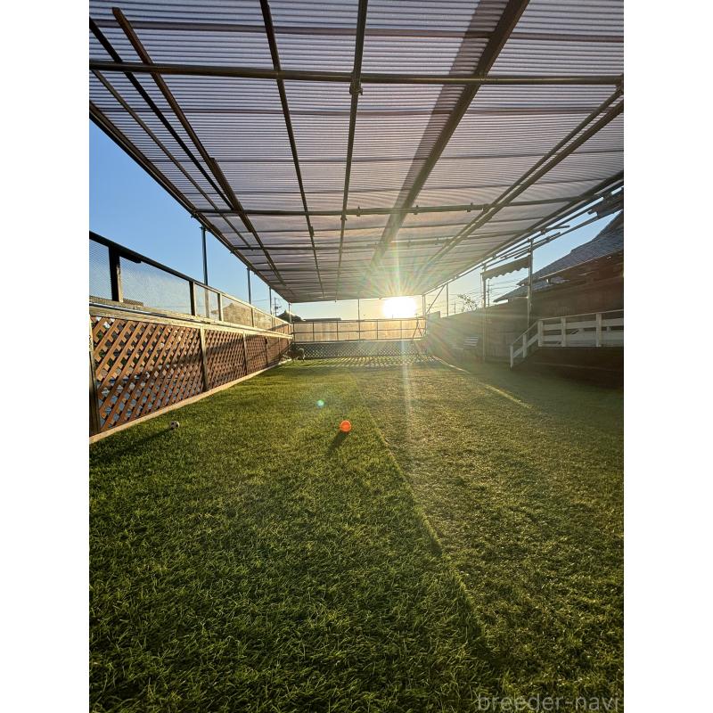 野中みどりブリーダーの詳細