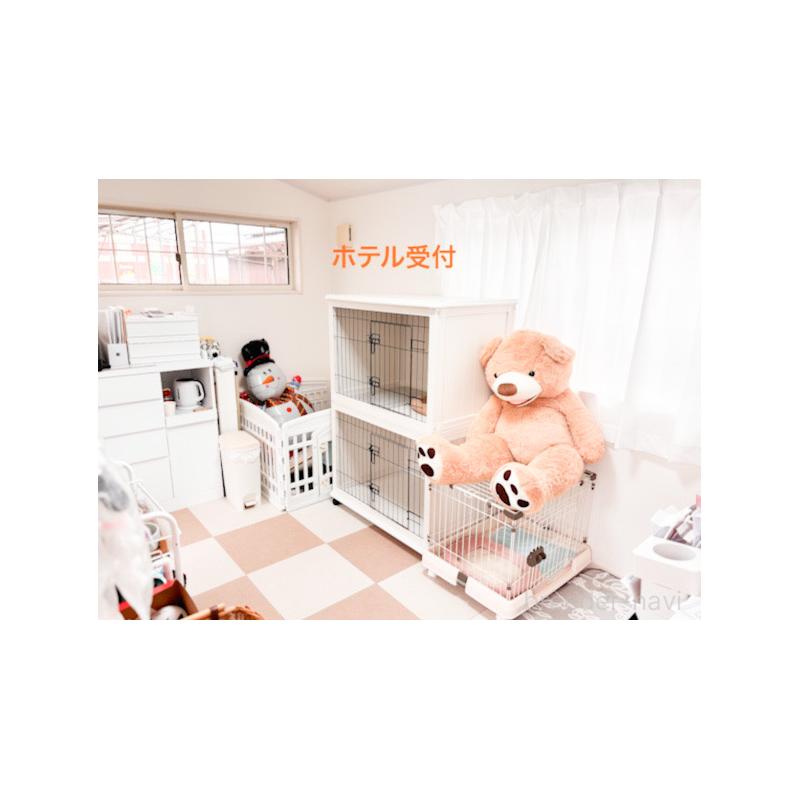 野中みどりブリーダーの詳細