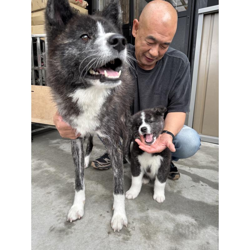 生野智弘ブリーダーの詳細の1枚目