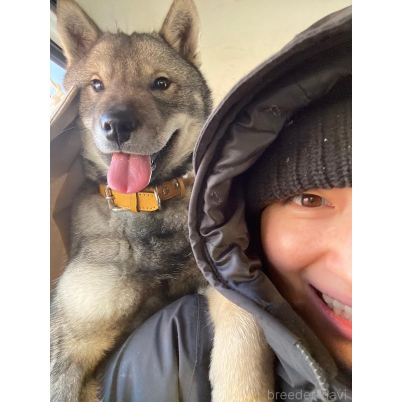 佐藤くおんブリーダーの詳細の1枚目