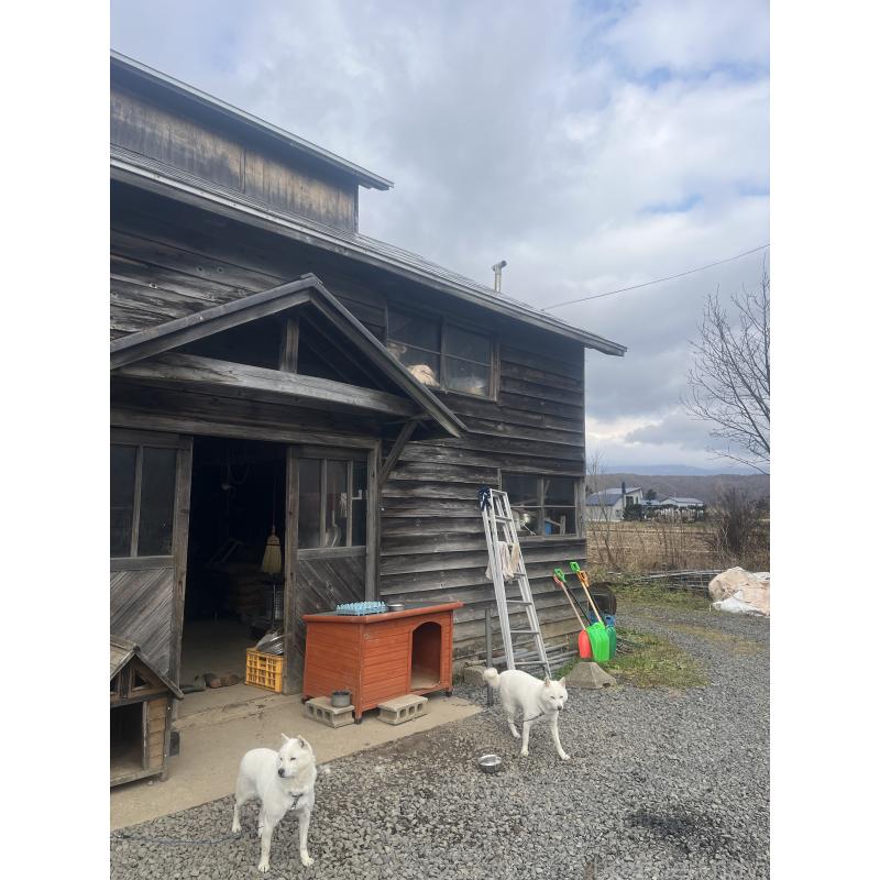 佐藤くおんブリーダーの詳細