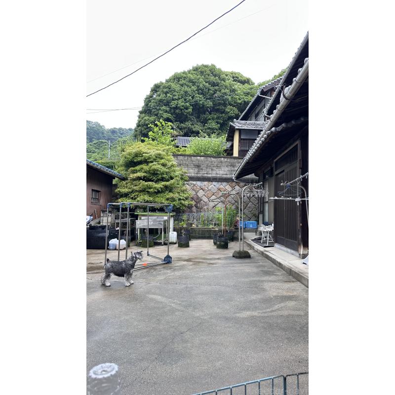 藤井寛ブリーダーの詳細