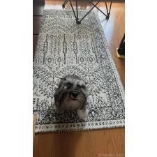 藤井寛ブリーダー