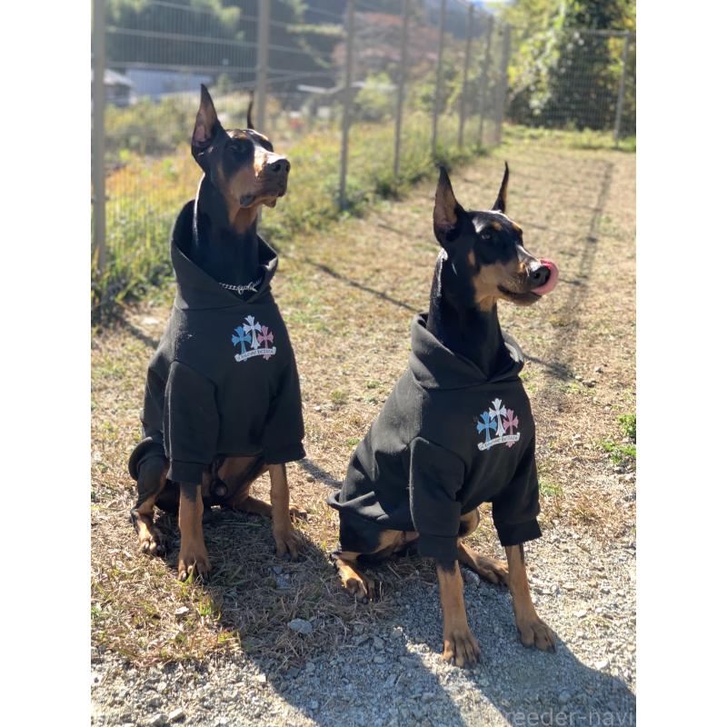 時松宏樹ブリーダーの詳細