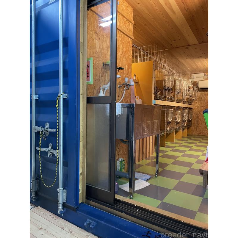 大濱晃一ブリーダーの詳細