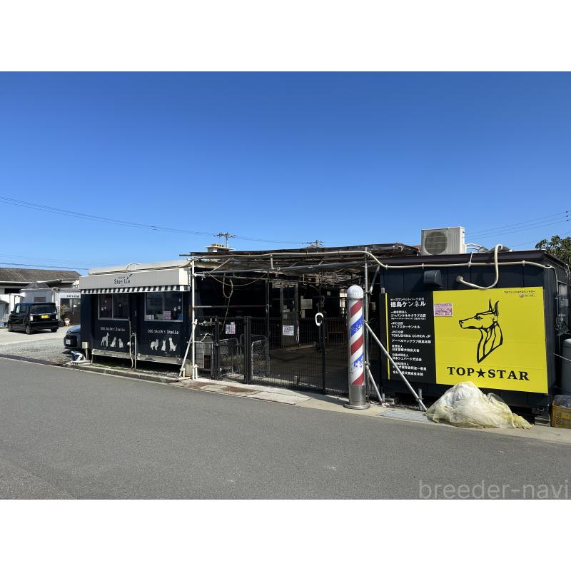 内田密信ブリーダーの詳細