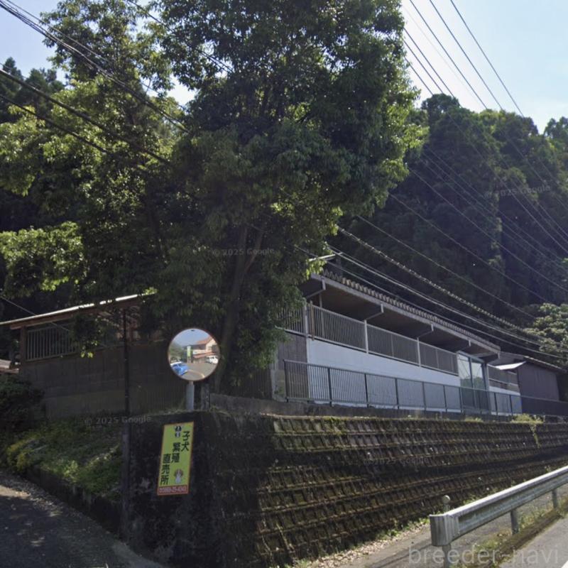 米村昭徳ブリーダーの詳細