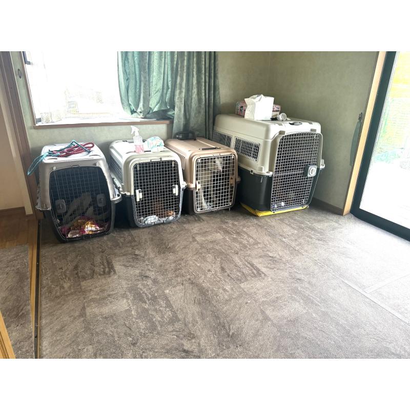 田中希ブリーダーの詳細