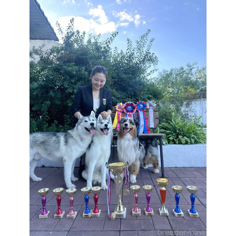 李楡燁ブリーダーの詳細