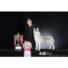 李楡燁ブリーダー