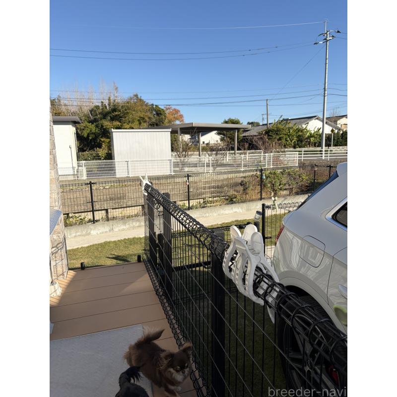 志田直子ブリーダーの詳細