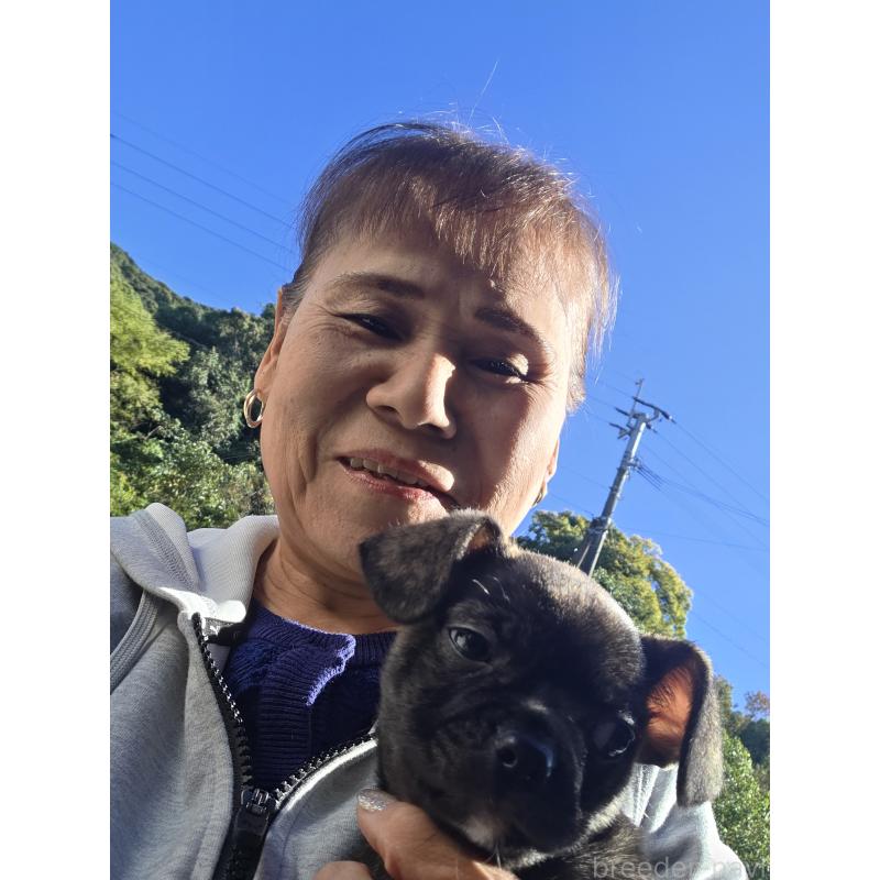 蓑本千代美ブリーダーの詳細の1枚目