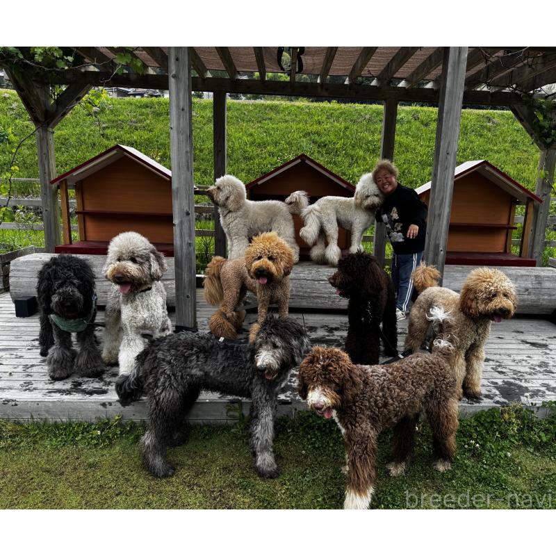 脇山玲奈ブリーダーの詳細