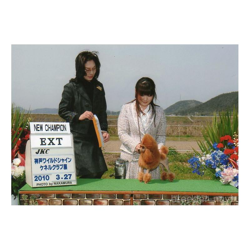 市岡紗絵ブリーダーの詳細の1枚目