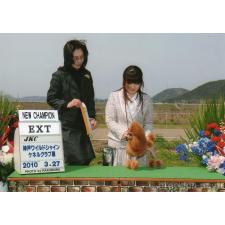 市岡紗絵ブリーダー