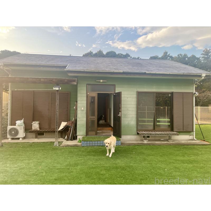 高野和重ブリーダーの詳細